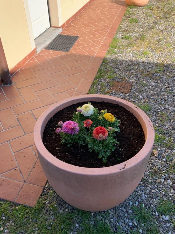 Appartamenti Vacanze Il Nottolini Capannori Exterior foto